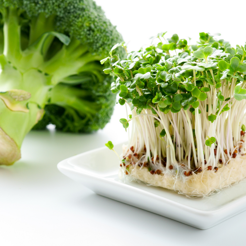 Broccoli Seed Oil