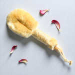 Body brush with natural bristles on a light gray background with flower petals.