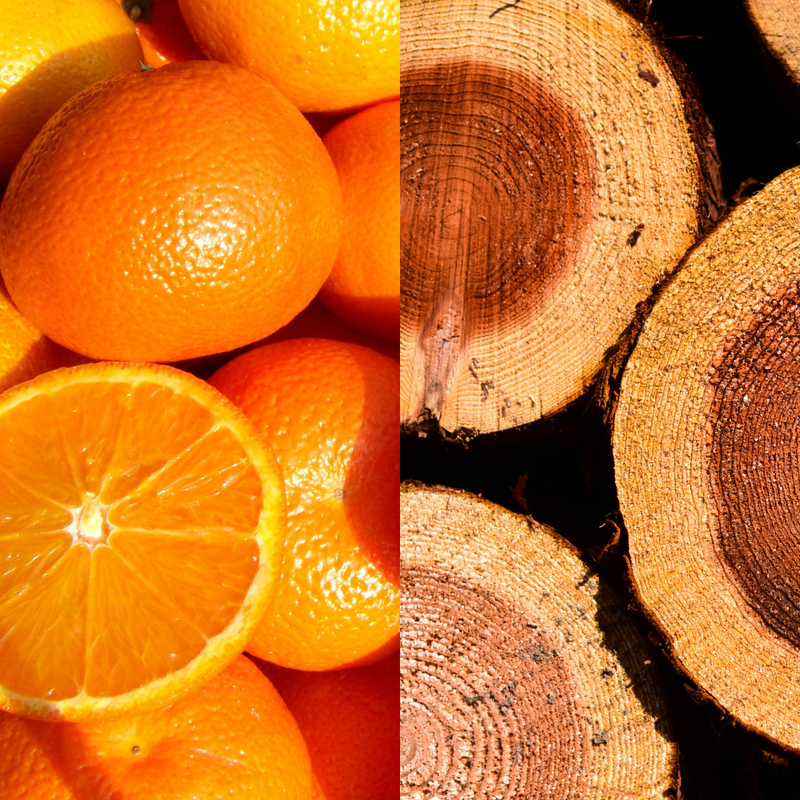 Citrus + Cedarwood Essential Oils
