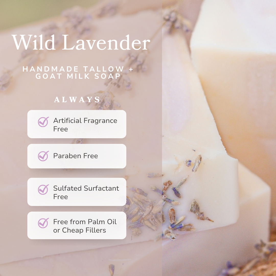 Wild Lavender Handmade Tallow and Goat Milk Soap Bar