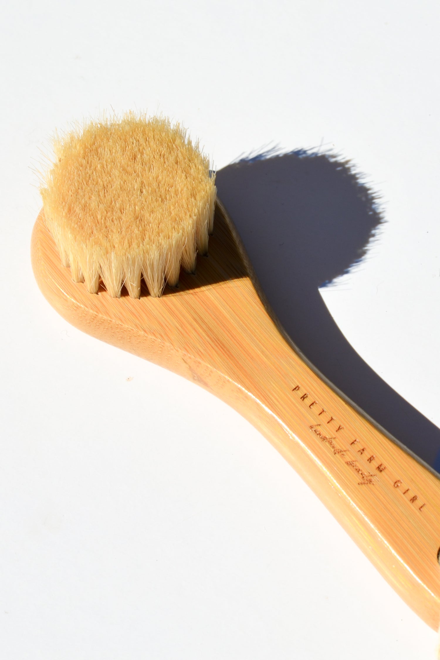 Dry Face Brush