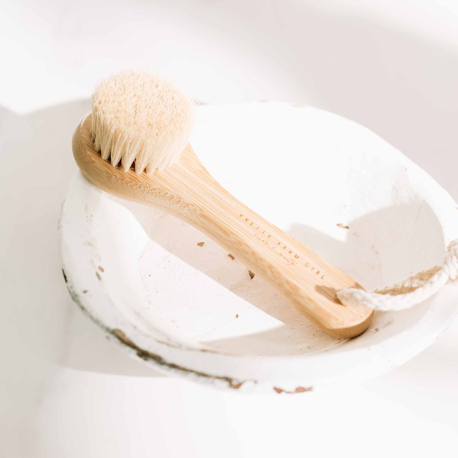 Dry Face Brush