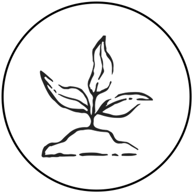 No synthetic fragrances