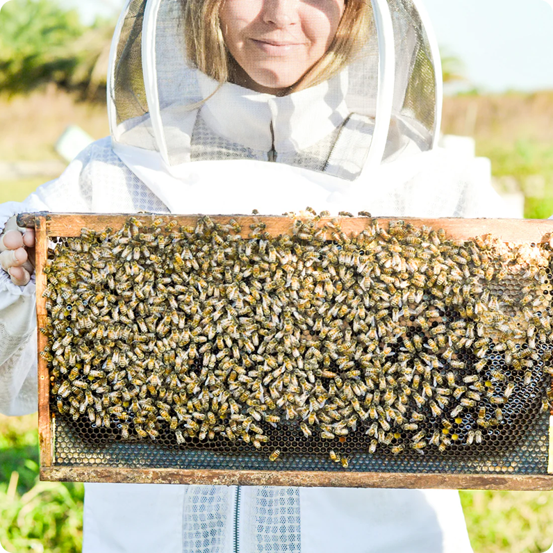 Raw Honey