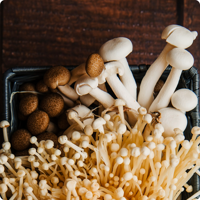 Snow Mushroom Extract
