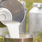 Goat milk being poured into a mixing bowl during the making of Milk + Honey Fragrance Free Handmade Tallow and Goat Milk Soap Bar