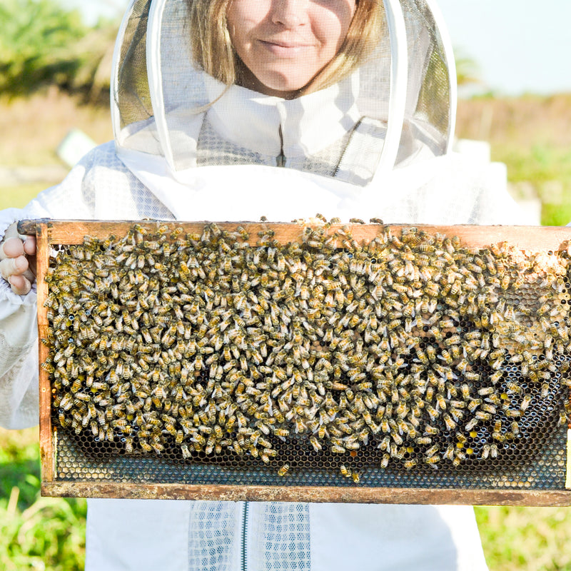 Honey