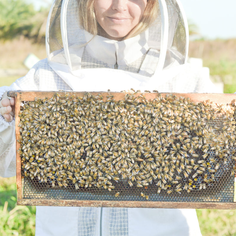 Honey