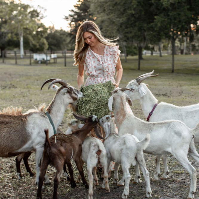 Goat Milk
