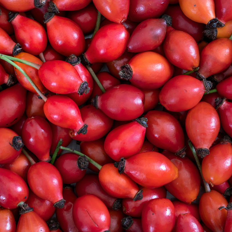Rosehip Seed Oil