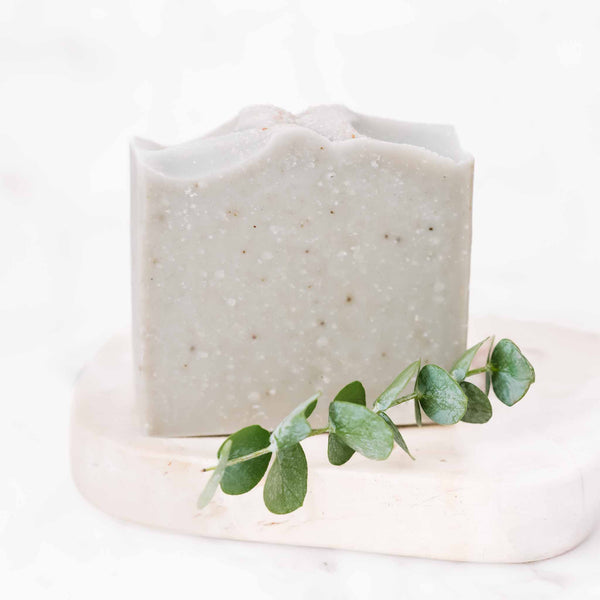 Salt + Sea Bar on a soft neutral background with eucalyptus leaves