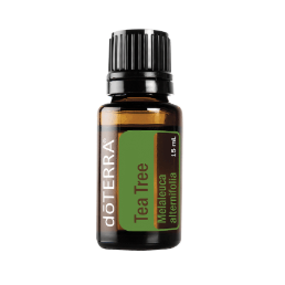 DoTerra Tea Tree essential oil bottle on a white background