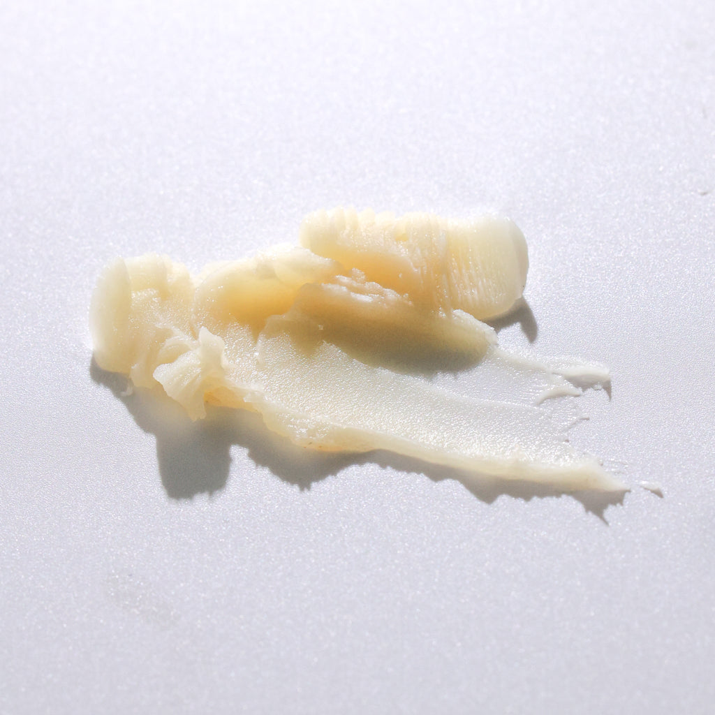 Fragrance Free Tallow + Honey Balm Tallow Body Balm