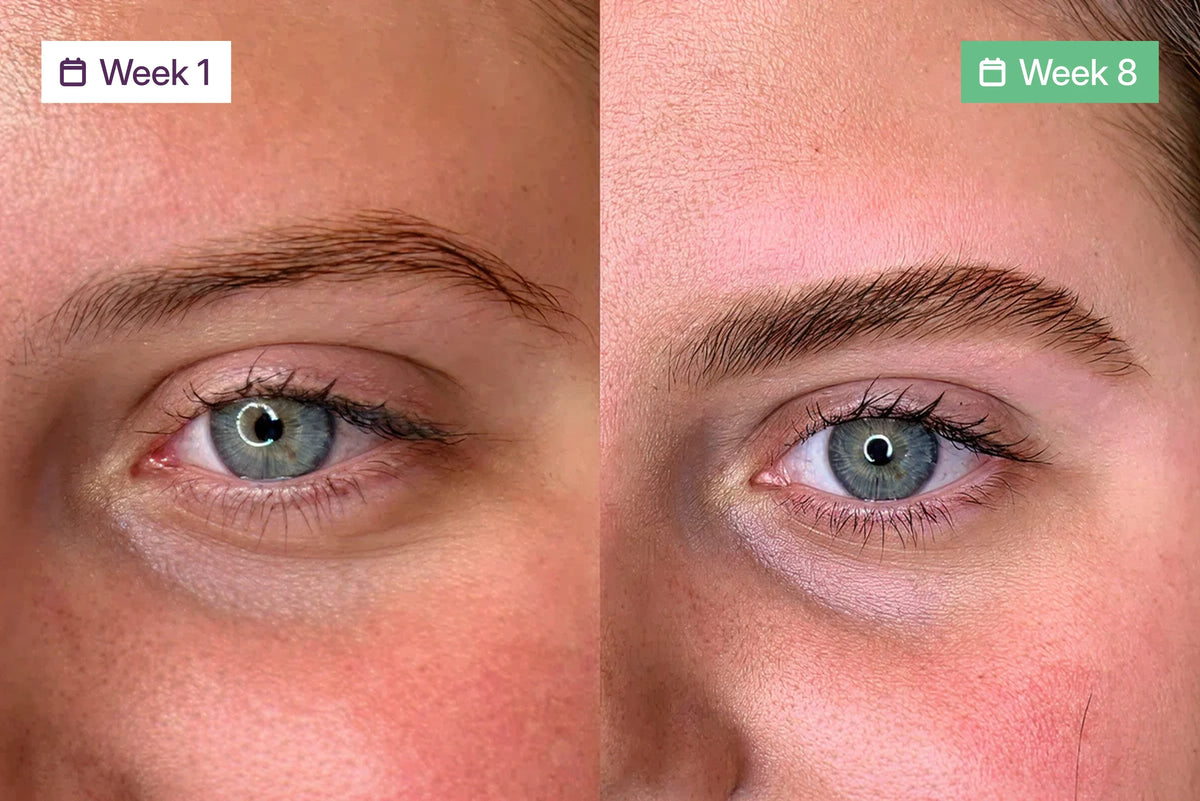 Week 1 and Week 8 results comparison