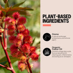 Red castor oil plant with text on plant-based ingredients and their benefits