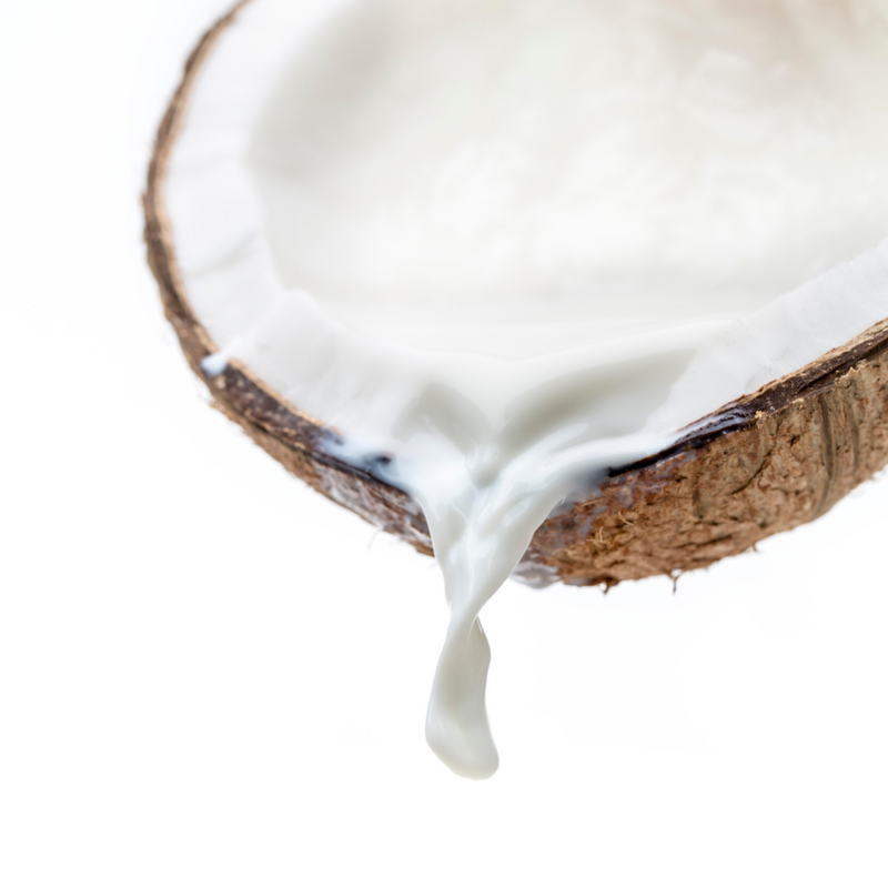 Coconut Milk