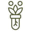 High-potency botanicals